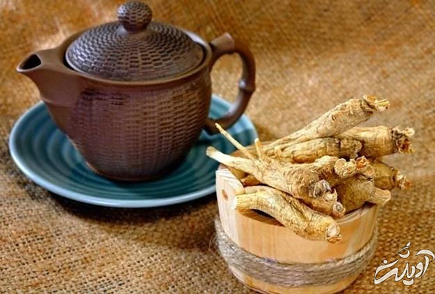 مصرف چای جینسینگ برای چاقی افراد چای جینسینگ